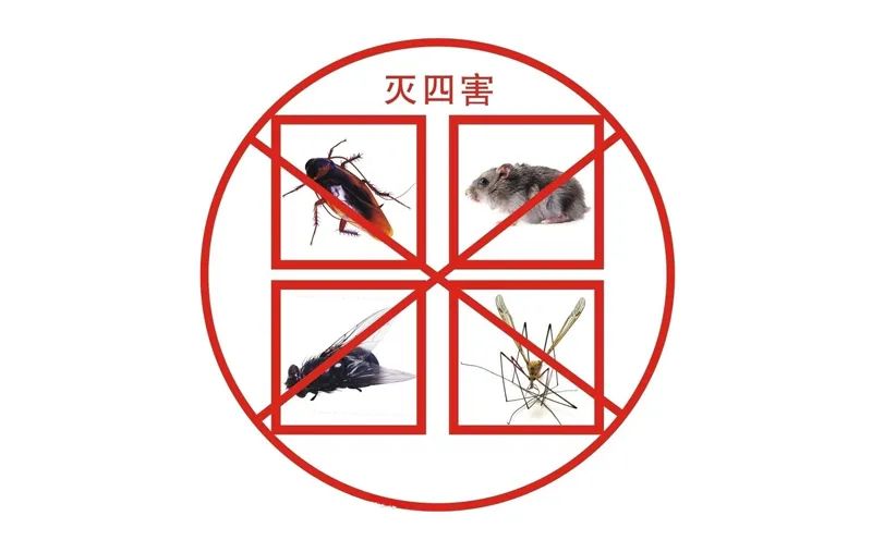 小區滅四害，有哪些潛在因素？